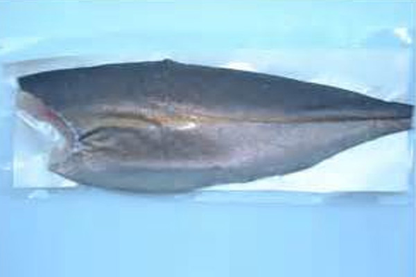 Fresh Kanpachi Fillet